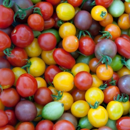 Tomate cerise  (par 500g)
