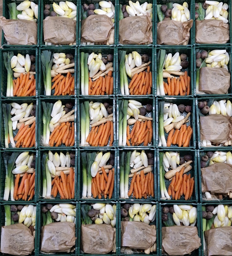 Grand panier de légumes Bio (par pièce)