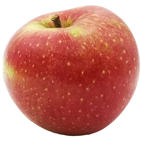 Pomme 'Wellant' Bio