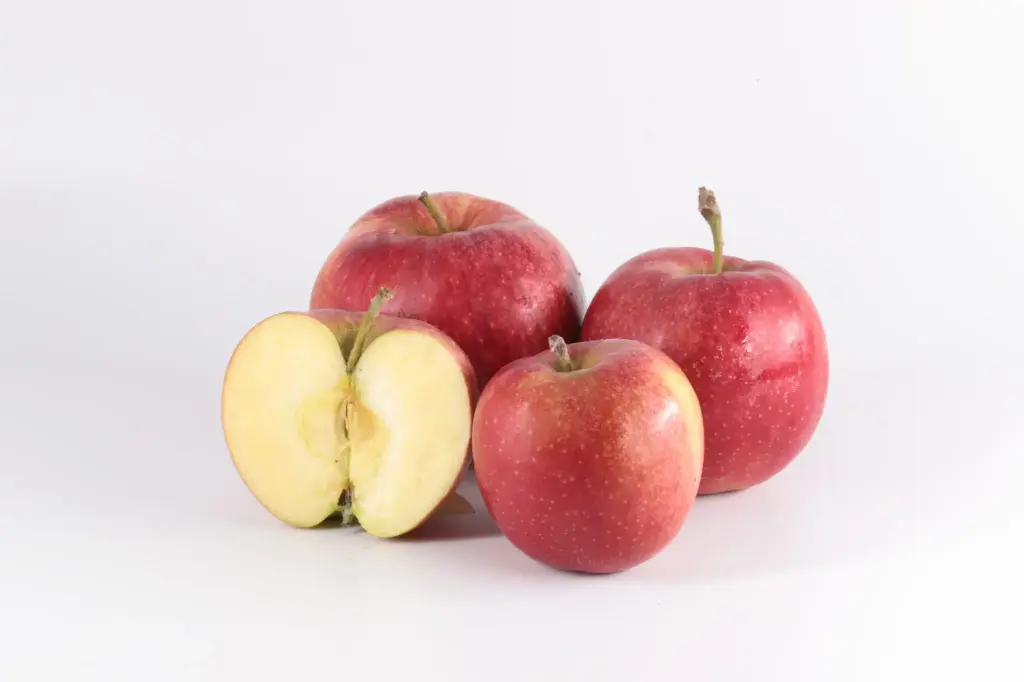 Pomme 'Natyra' BIO