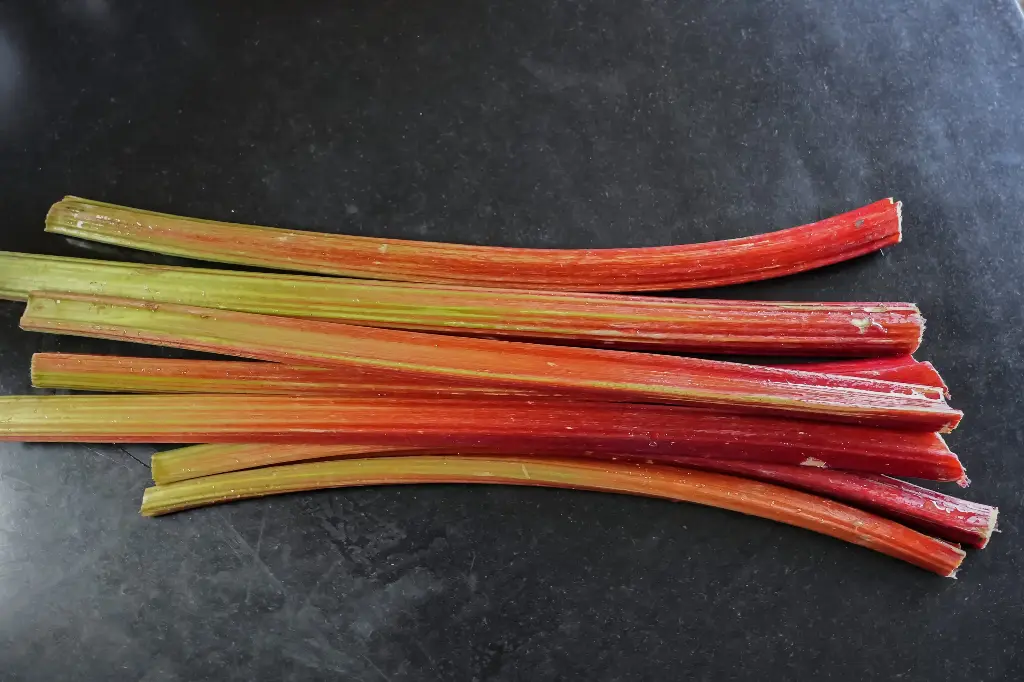 Rhubarbe BIO (par kg) 