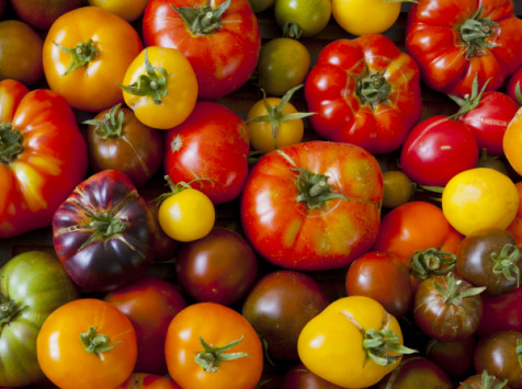 Tomate ancienne en mélange BIO (par kg)